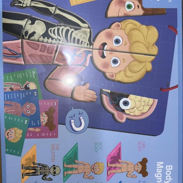 بازل اجزاء الجسم