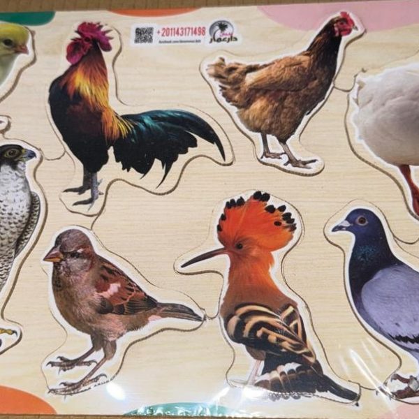 بازل الطيور خشب